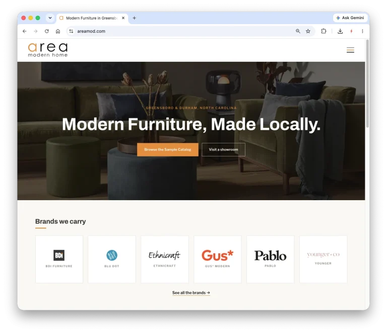 Area Modern Home Case Study